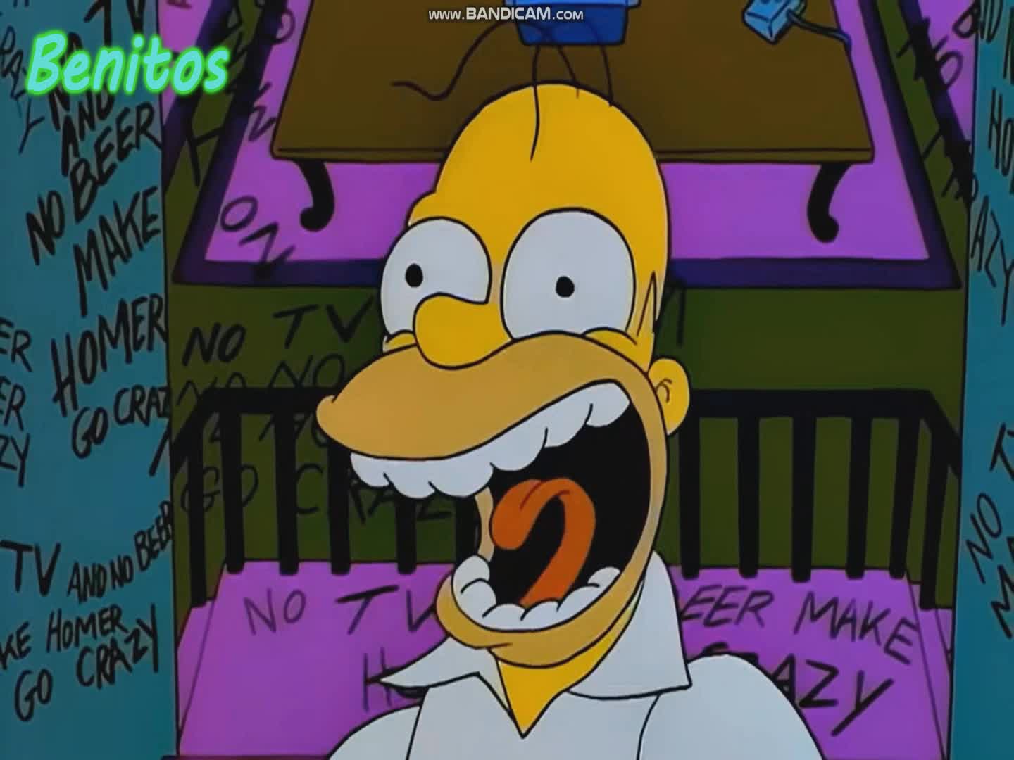 VLPH: Homero se volvio gei