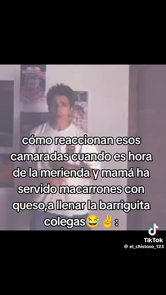 Como reaccionan esos camaradas cuando es hora de la merienda y mamá ha servido macarrones con queso Como reaccionan esos camaradas cuando es hora de la merienda y mamá ha servido macarrones con queso