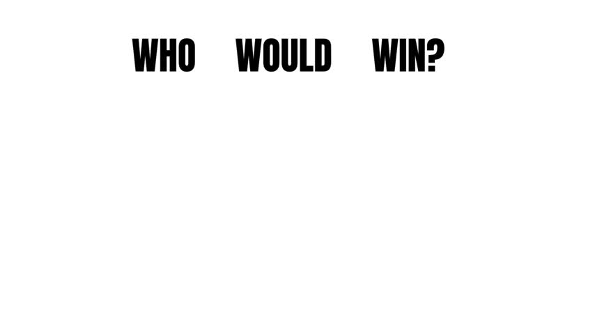 WHO WOULD WIN WHO WOULD WIN