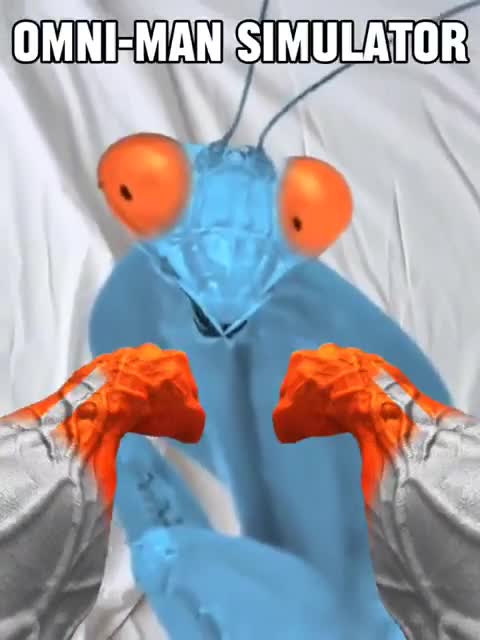 omni man simulator