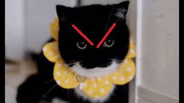 Wkurwiony Maxwell w click the wawa