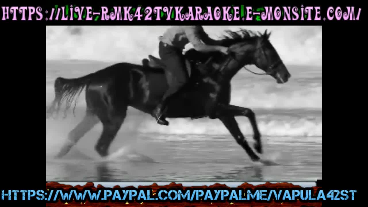 L'HOMME 2017 aphrody  rmk42tvkaraoke