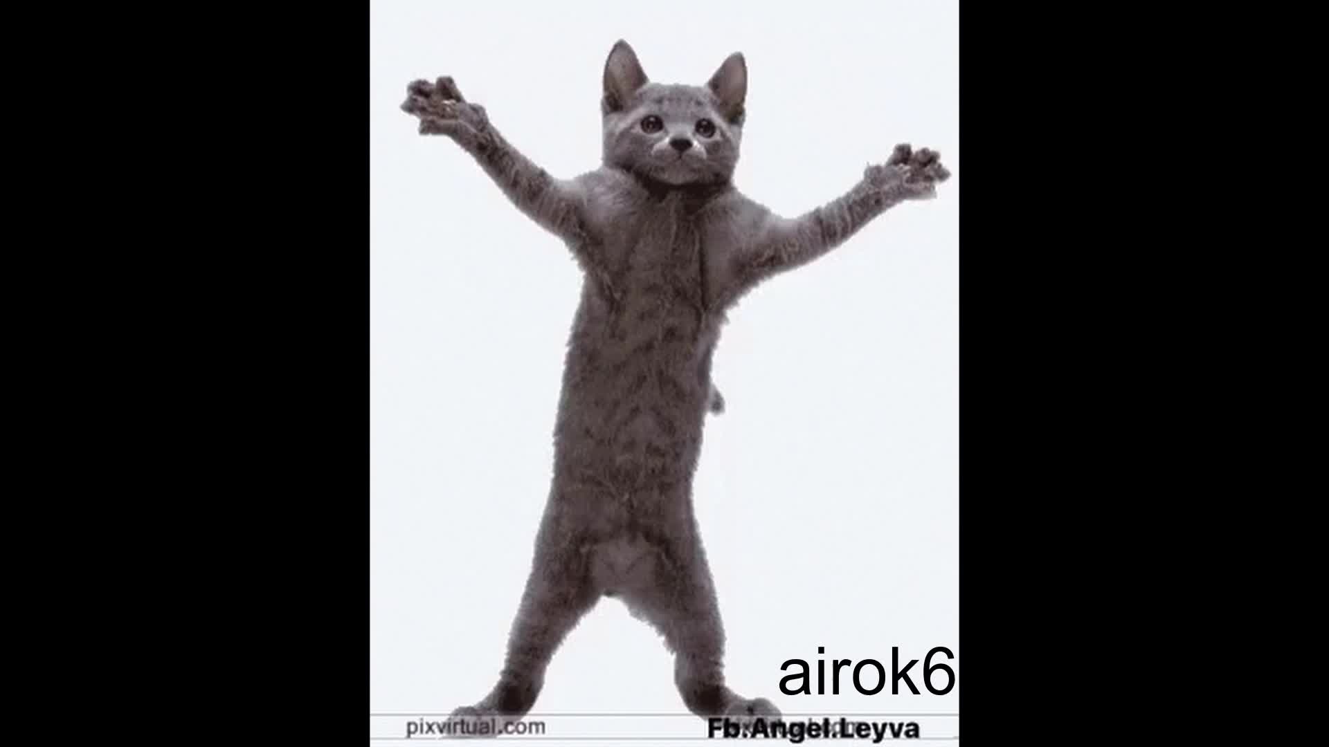 AIROK - DE VOS NO ME OLVIDO AIROK - DE VOS NO ME OLVIDO