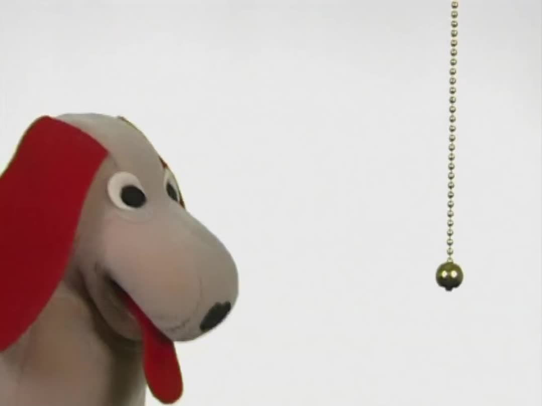 Neighbourhood Animals 2003 UK DVD