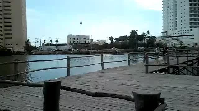 Puente del lago en el Gran Acuario Mazatlán, 28 de marzo de 2026 Puente del lago en el Gran Acuario Mazatlán, 28 de marzo de 2026