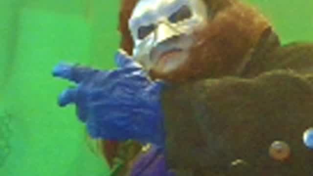 kelso the undertaker vs colin dash